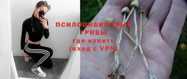 мет Осташков