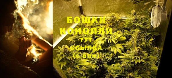 2c-b Осинники