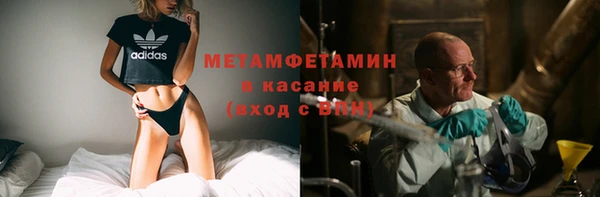 ПСИЛОЦИБИНОВЫЕ ГРИБЫ Няндома