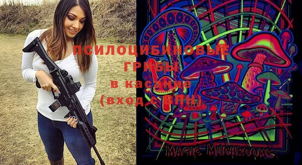 мет Осташков